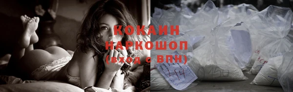 соль ск Козловка
