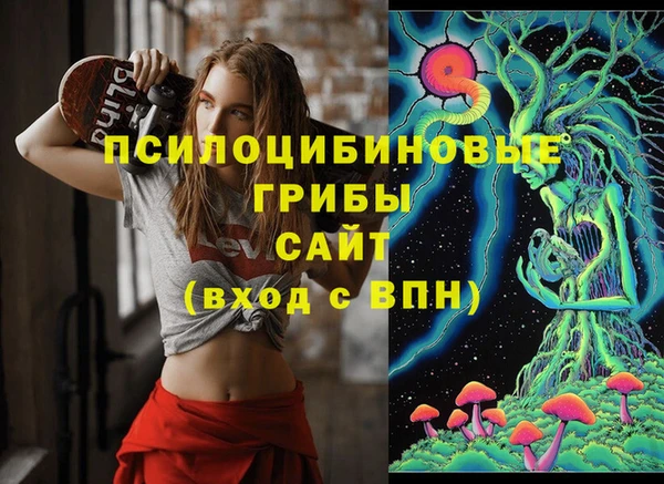 меф Корсаков