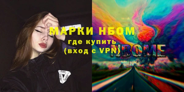 соль ск Козловка