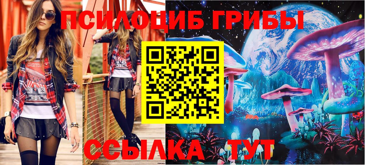 Псилоцибиновые грибы мухоморы Коряжма