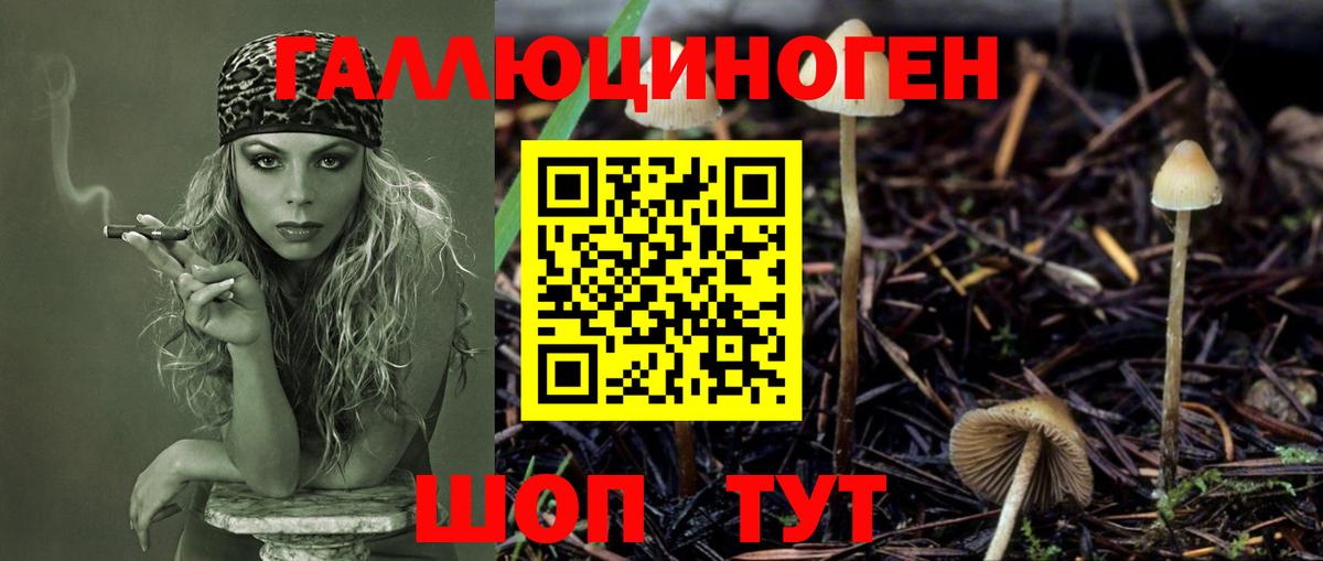Коряжма  Псилоцибиновые грибы Magic Shrooms  Галлюциногенные грибы мухоморы  Вход с VPN 